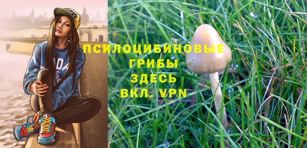 гидропоника Алзамай